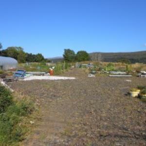Allotments